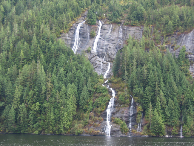 Dancing waterfalls, grey cliffs and evergreens at the edge of the sea