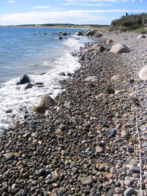 A boulder and cobble beach at Quicks Hole