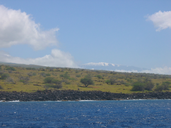 A snow-clad Mauna Kea looms above palm trees and a basaltic shoreline
