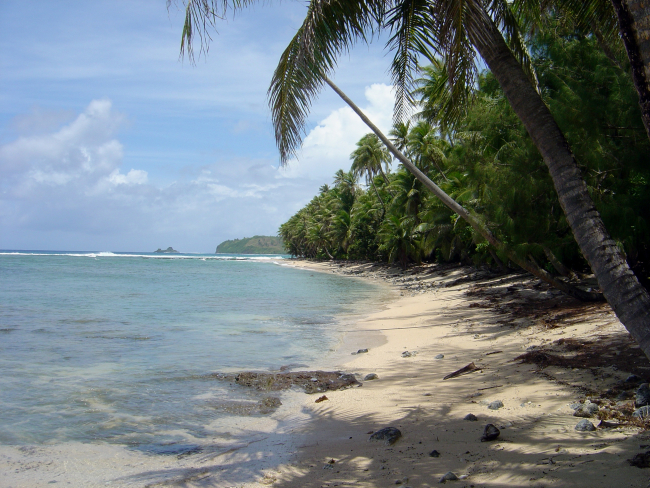 A palm-lined jungle coastline on Guam