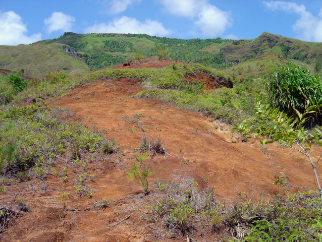 Red lateritic soil in the mountains of Guam, a characteristic ofvolcanic erosion