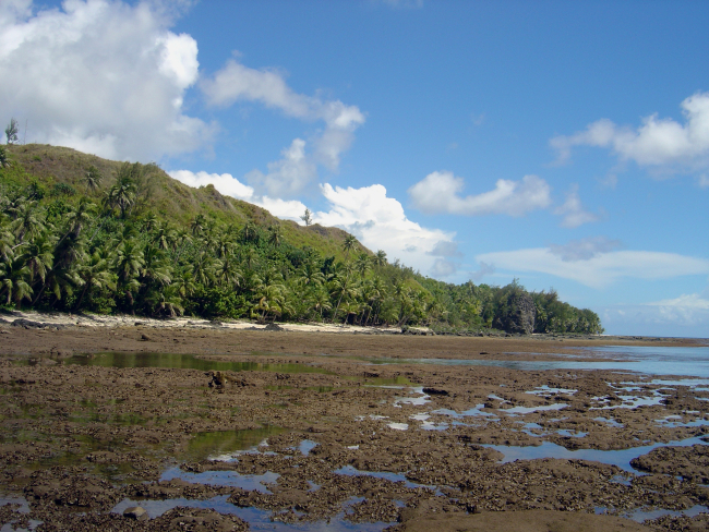Uncovered reef flat at low tide on the Guam coastline