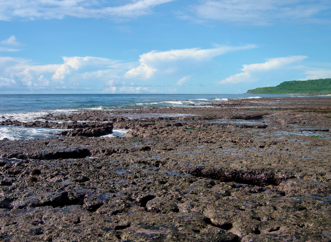 Uncovered reef flat with intervening channels at low tide on the Guam coastline