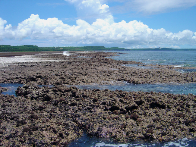 Uncovered reef flat with intervening channels at low tide on the Guam coastline