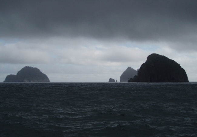 A stormy day on the Gulf of Alaska