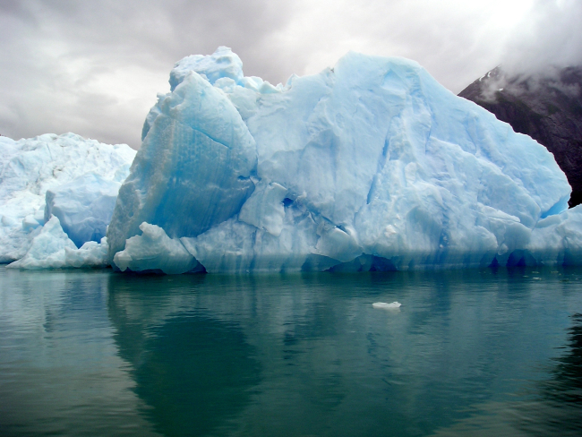 An iceberg in Tracy Arm