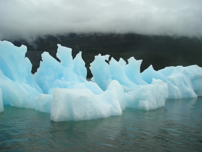 An iceberg floating out of Tracy Arm