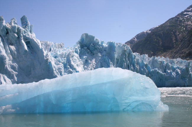 Beautiful aquamarine ice calved from the Dawes Glacier