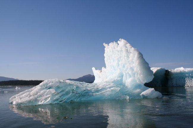 Small iceberg from the LeConte Glacier