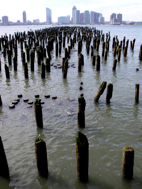 Rotting pilings, apparent remains of a once-bustling dock