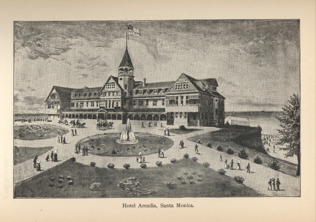 The Hotel Arcadia