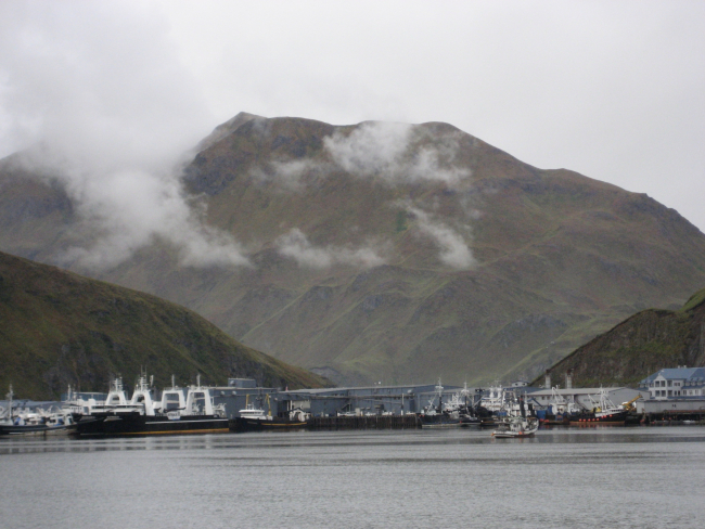 Part of the fishing fleet that works out of Dutch Harbor