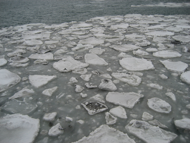 Broken ice in the harbor at St