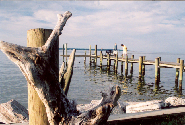 Driftwood and a Patuxent River pier