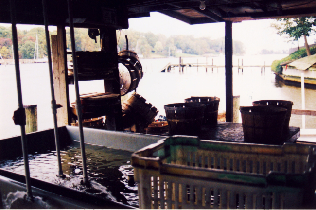 An oyster processing station