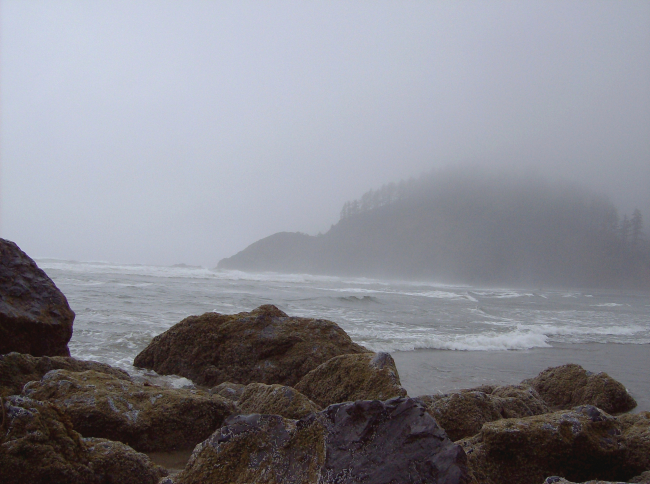 Rocks, surf, fog, seaweed, and fog-enshrouded headland at Ecola State Park