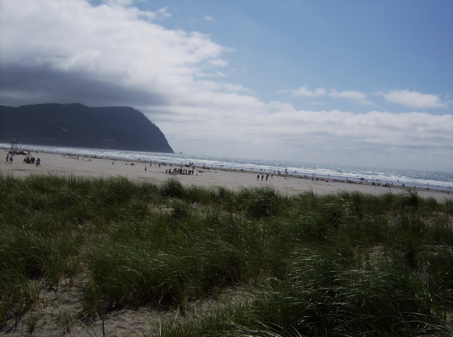 Looking over the dune line to a northern Oregon beach on a cool July day
