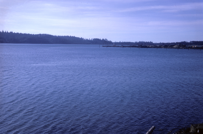 Washington coastal bay