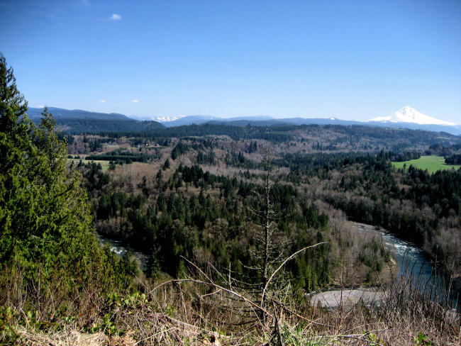 Mount Hood, mountains, evergreens and a free-running river