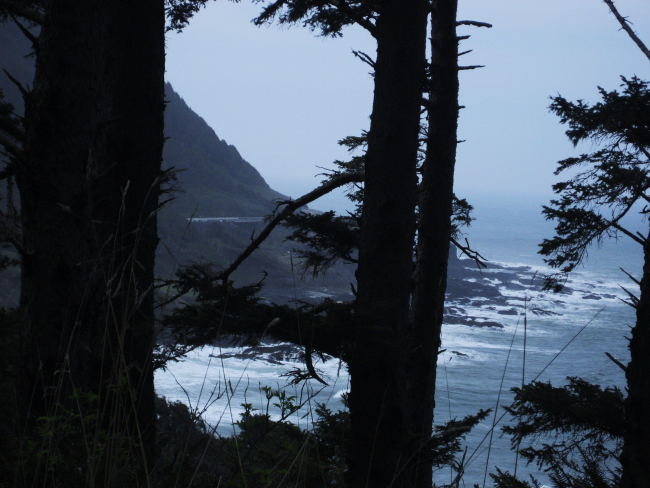 Trees, surf, rock, and fog