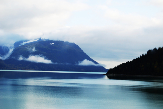 Looking at the eastern shore of Glacier Bay from Blue Mouse Cove