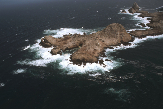 Aerial views of the wind-swept sea-swept Farallons, a virtual wilderness lessthan thirty miles from downtown San Francisco