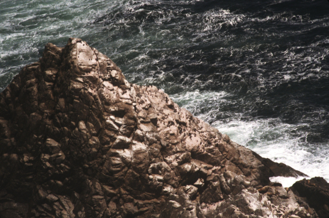 Sculpted rocks of the Farallons with murre colony