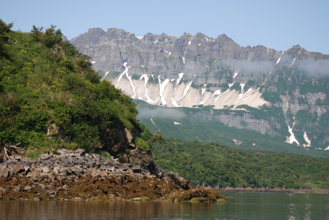 Amalik Bay at low tide showing algae covered rocks  and low scrub brush covering the lower slopes of the mountains in Katmai Park and Wilderness