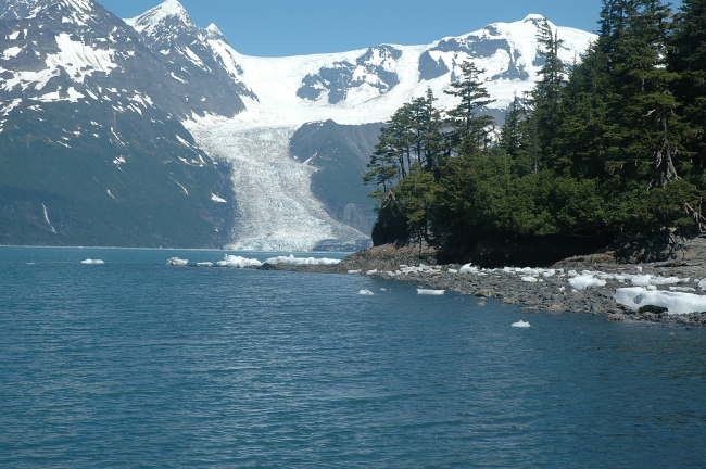 A view of a glacier in Barry Arm, connecting Harriman Fjord with College Fjord