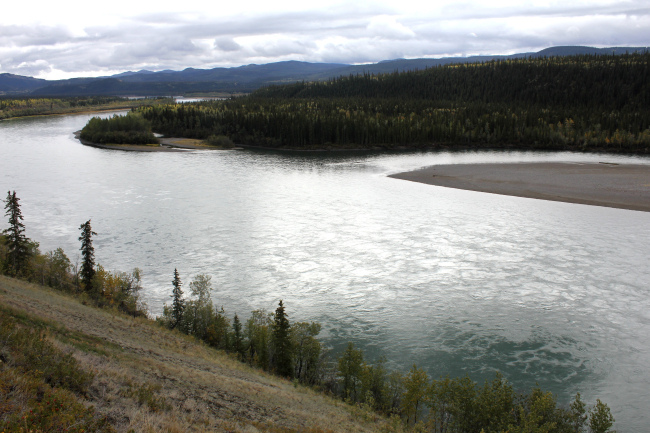 A scene along the Peel River on the Dempster Highway