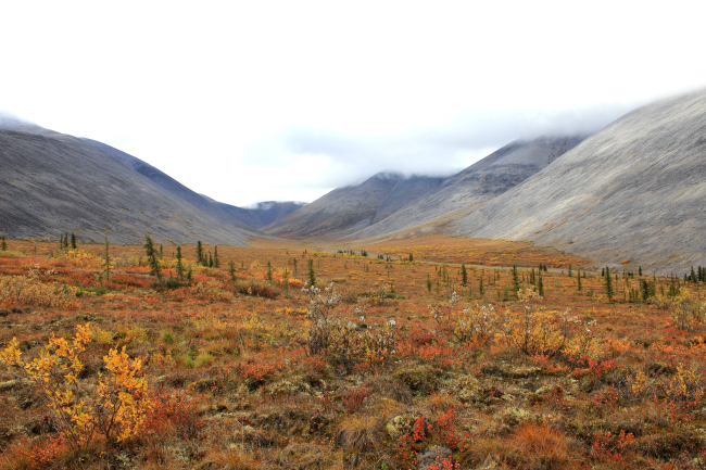 Tundra scene along the Dempster Highway