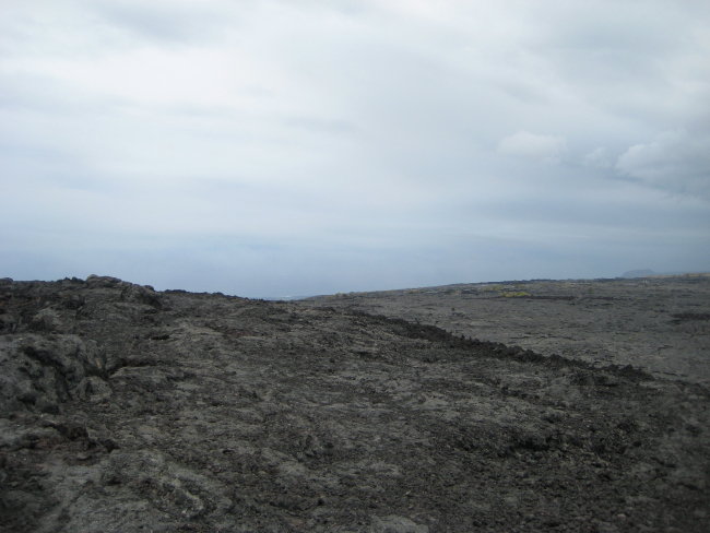 The barren landscape of a recent lava flow