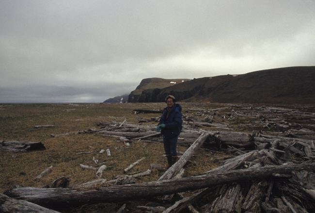 Allen Shimada with driftwood thrown up on the shores of an Aleutian Island bypowerful North Pacific storms