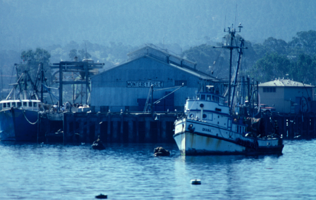 A scene out of Cannery Row