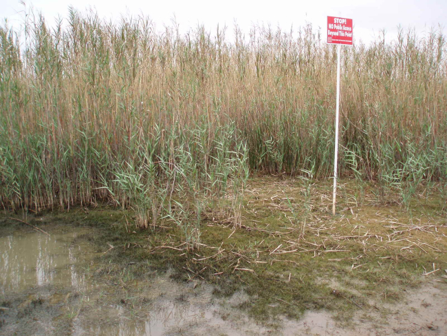 A sign is placed to keep the public away from a wet prairie restoration site