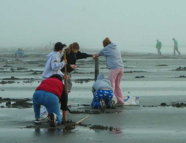 A family digs for clams in the Pacific Northwest
