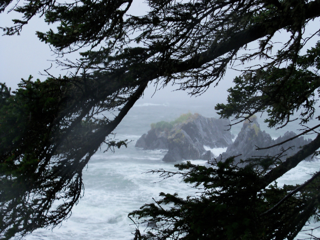 Ocean in the rain at Fort Abercrombie State Park in a scenereminscent of Point Lobos State Reserve in California