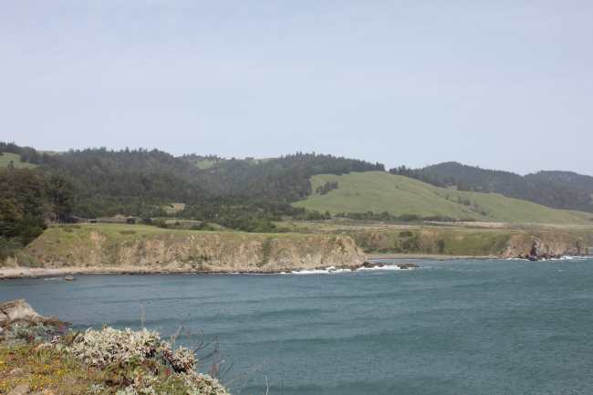 A view of the sea cliffs and coast ranges near Fort Ross, seen in the middleleft