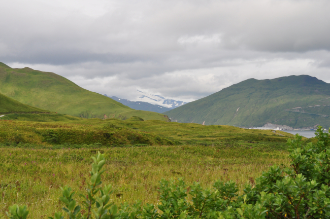 Looking across a meadow to the mountains of Unalaska Island