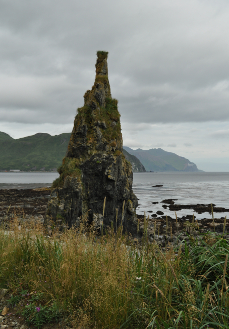 A small rock spire at the edge of the ocean