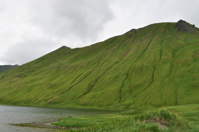 The green green hills of the Unalaska Island