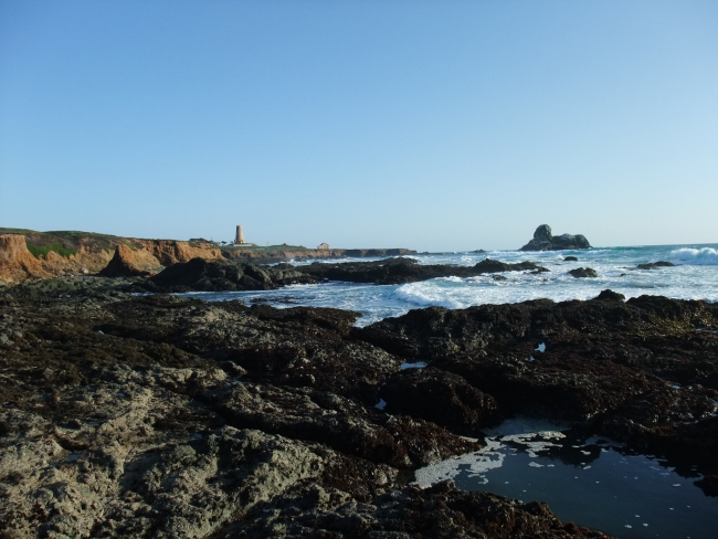 The remains of the Piedras Blancas lighthouse (top was destroyed in anearthquake and removed as a safety measure) and the tide pools to the north