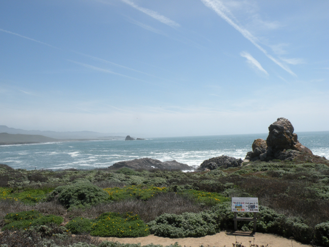 A view of the landmarks researchers use for guiding each other to find whales in the water at Point Piedras Blancas