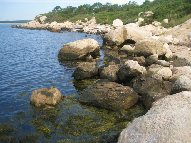 The rocky shoreline at Bluff Point State Park