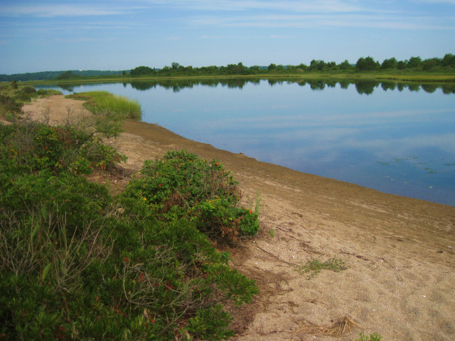 A lagoon and wetlands behind the gravel and shell spit at Bluff Point State Park