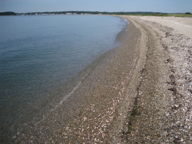 Looking along the arcuate gravel and shell spit at Bluff Point State Park
