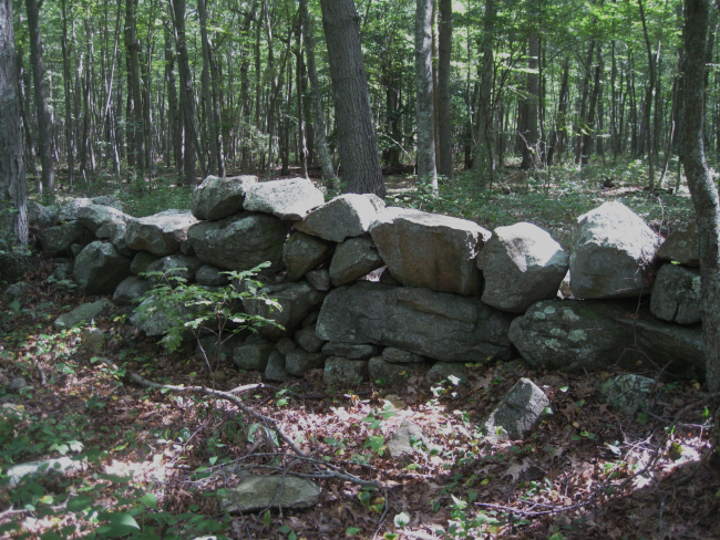 Colonial era stone fences are seen throughout the peninsula at Bluff Point StatePark