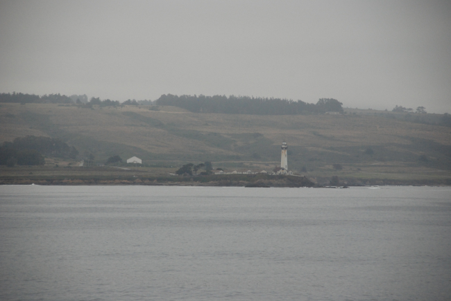 Pigeon Point Lighthouse seen from sea