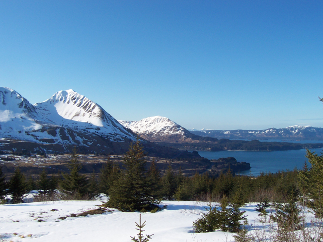 Bays, mountains, and evergreens of Kodiak Island