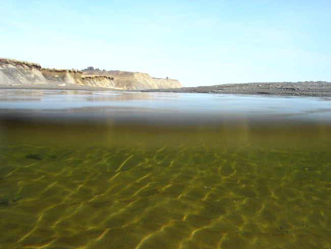 A rippled pond on Fossil Beach